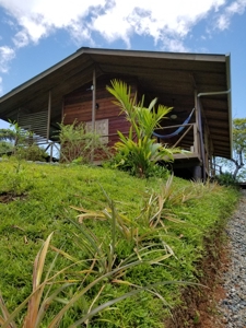 Picture perfect island home Bocas del Toro Panama - image 13