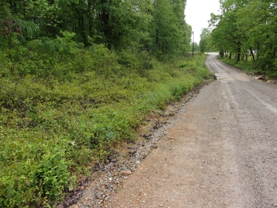 Land for Sale in the Ozarks of Arkansas! - image 1