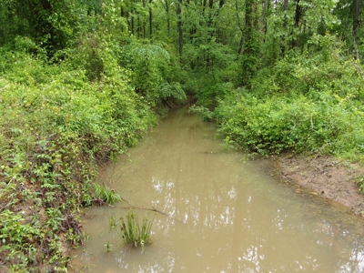 Land for Sale in the Ozarks of Arkansas! - image 4