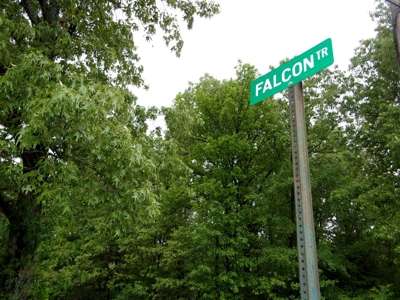 Land for Sale in the Ozarks of Arkansas! - image 5