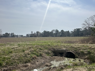18-Acre Residential Development Land in Chocowinity, NC - image 14