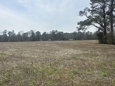 18-Acre Residential Development Land in Chocowinity, NC - image 22