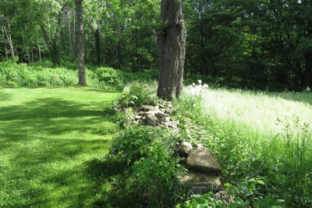 Country Home on 30+ Acres For Sale at Auction Wellsboro, PA - image 7