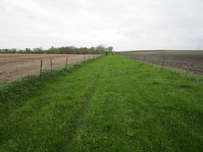80+/- Acres of Cropland & Acreage Site in Lake Co, SD - image 17