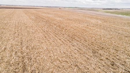 80+/- Acres of Cropland & Acreage Site in Lake Co, SD - image 9