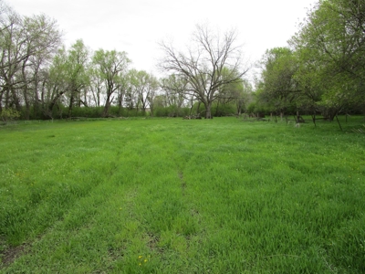 80+/- Acres of Cropland & Acreage Site in Lake Co, SD - image 18
