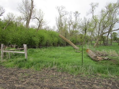 80+/- Acres of Cropland & Acreage Site in Lake Co, SD - image 19