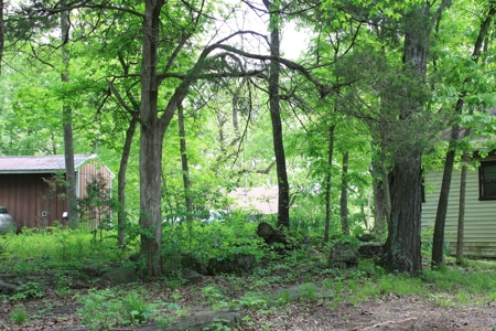 Greenville MO Resort Marina For Sale - image 30