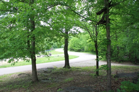 Greenville MO Resort Marina For Sale - image 34