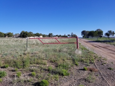 For Sale Edgewood NM Investment Commercial Development Land - image 3