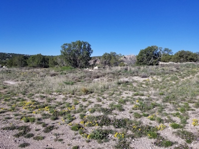 For Sale Edgewood NM Investment Commercial Development Land - image 1