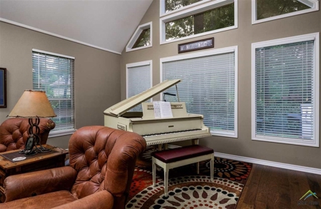 Holly Lake Ranch Texas Home For Sale East Texas - image 15