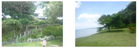 Beach Front House For Sale In Costa Esmeralda San Carlos Pty - image 22