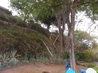 Beach Front House For Sale In Costa Esmeralda San Carlos Pty - image 34