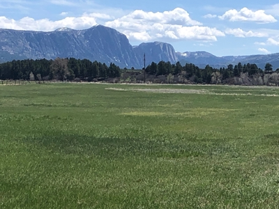 Irrigated Land for Sale Brazos Cliff Views Chama NM Area - image 2