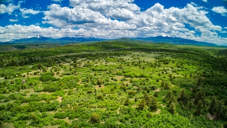 Complete serenity, beautiful mountain lot Norwood, Colorado - image 7