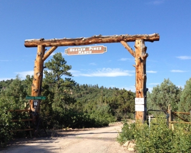 Complete serenity, beautiful mountain lot Norwood, Colorado - image 1