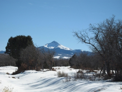 Complete serenity, beautiful mountain lot Norwood, Colorado - image 5