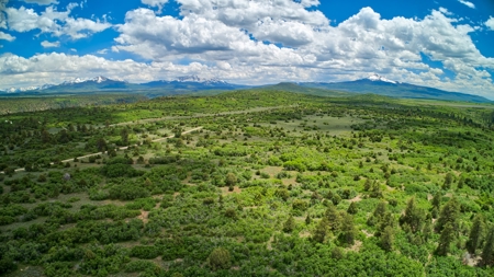 Complete serenity, beautiful mountain lot Norwood, Colorado - image 8