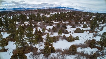 Complete serenity, beautiful mountain lot Norwood, Colorado - image 9
