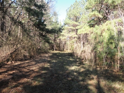Land For Sale Lincoln County Brookhaven Mississippi - image 45