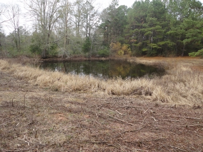 Land For Sale Lincoln County Brookhaven Mississippi - image 11