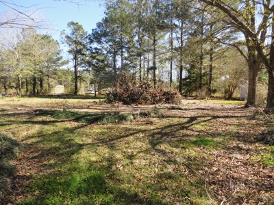 Land For Sale Lincoln County Brookhaven Mississippi - image 28