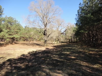Land For Sale Lincoln County Brookhaven Mississippi - image 35