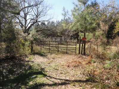 Land For Sale Lincoln County Brookhaven Mississippi - image 25