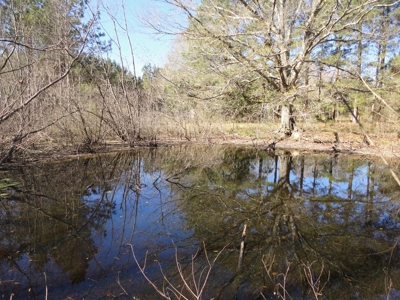Land For Sale Lincoln County Brookhaven Mississippi - image 48
