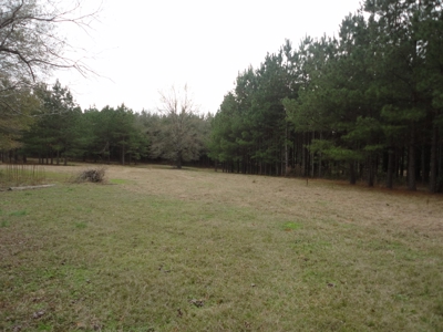 Land For Sale Lincoln County Brookhaven Mississippi - image 5