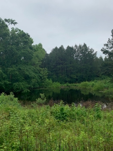 Land For Sale Lincoln County Brookhaven Mississippi - image 2