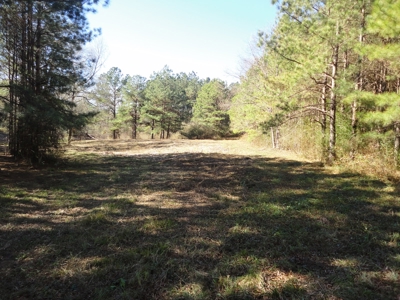 Land For Sale Lincoln County Brookhaven Mississippi - image 32
