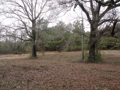 Land For Sale Lincoln County Brookhaven Mississippi - image 10