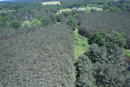 Land For Sale Lincoln County Brookhaven Mississippi - image 23