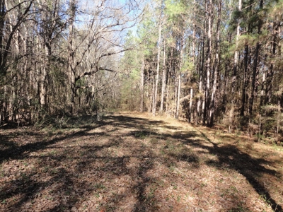Land For Sale Lincoln County Brookhaven Mississippi - image 41
