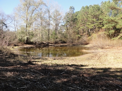 Land For Sale Lincoln County Brookhaven Mississippi - image 34