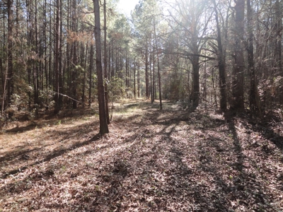 Land For Sale Lincoln County Brookhaven Mississippi - image 40