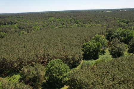 Land For Sale Lincoln County Brookhaven Mississippi - image 20