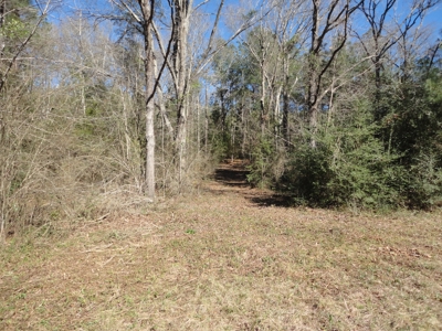 Land For Sale Lincoln County Brookhaven Mississippi - image 38