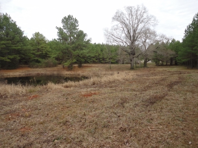 Land For Sale Lincoln County Brookhaven Mississippi - image 12