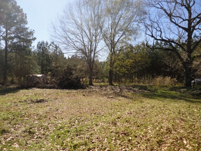 Land For Sale Lincoln County Brookhaven Mississippi - image 26