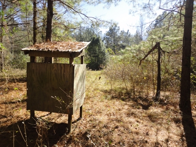 Land For Sale Lincoln County Brookhaven Mississippi - image 36