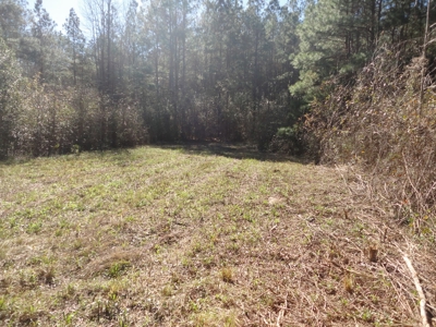 Land For Sale Lincoln County Brookhaven Mississippi - image 37