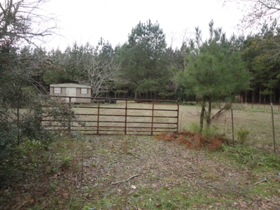 Land For Sale Lincoln County Brookhaven Mississippi - image 4