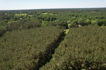 Land For Sale Lincoln County Brookhaven Mississippi - image 21