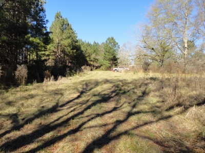 Land For Sale Lincoln County Brookhaven Mississippi - image 31