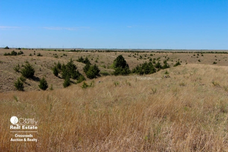 1,024± Acres of Hunting Land & Minerals in Kansas For Sale - image 8