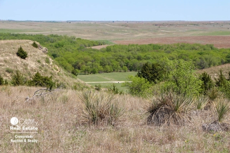 1,024± Acres of Hunting Land & Minerals in Kansas For Sale - image 15