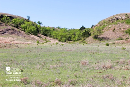 1,024± Acres of Hunting Land & Minerals in Kansas For Sale - image 5